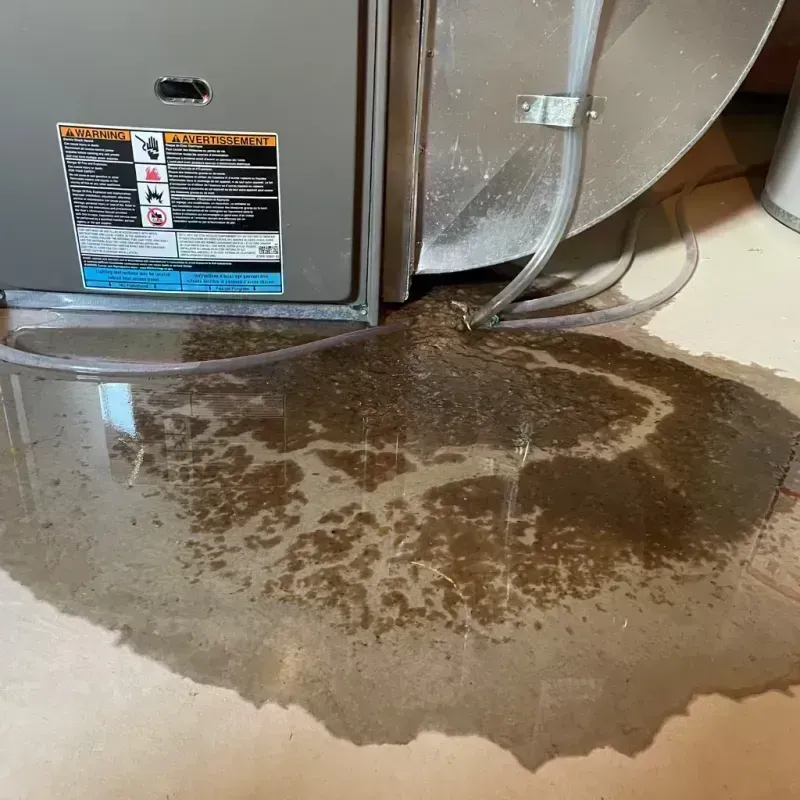 Appliance Leak Cleanup in El Lago, TX